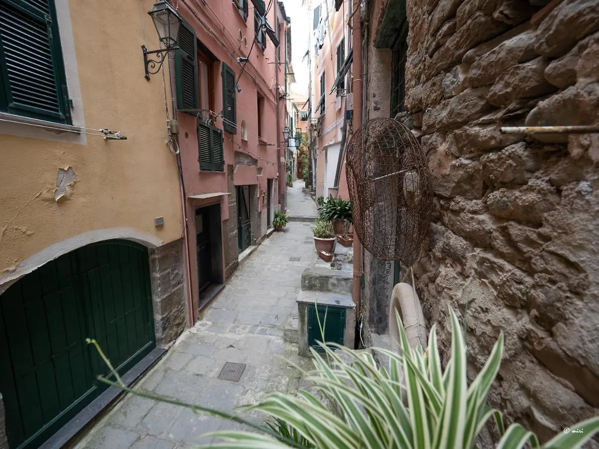Apartment Zia Rina Studio Vernazza