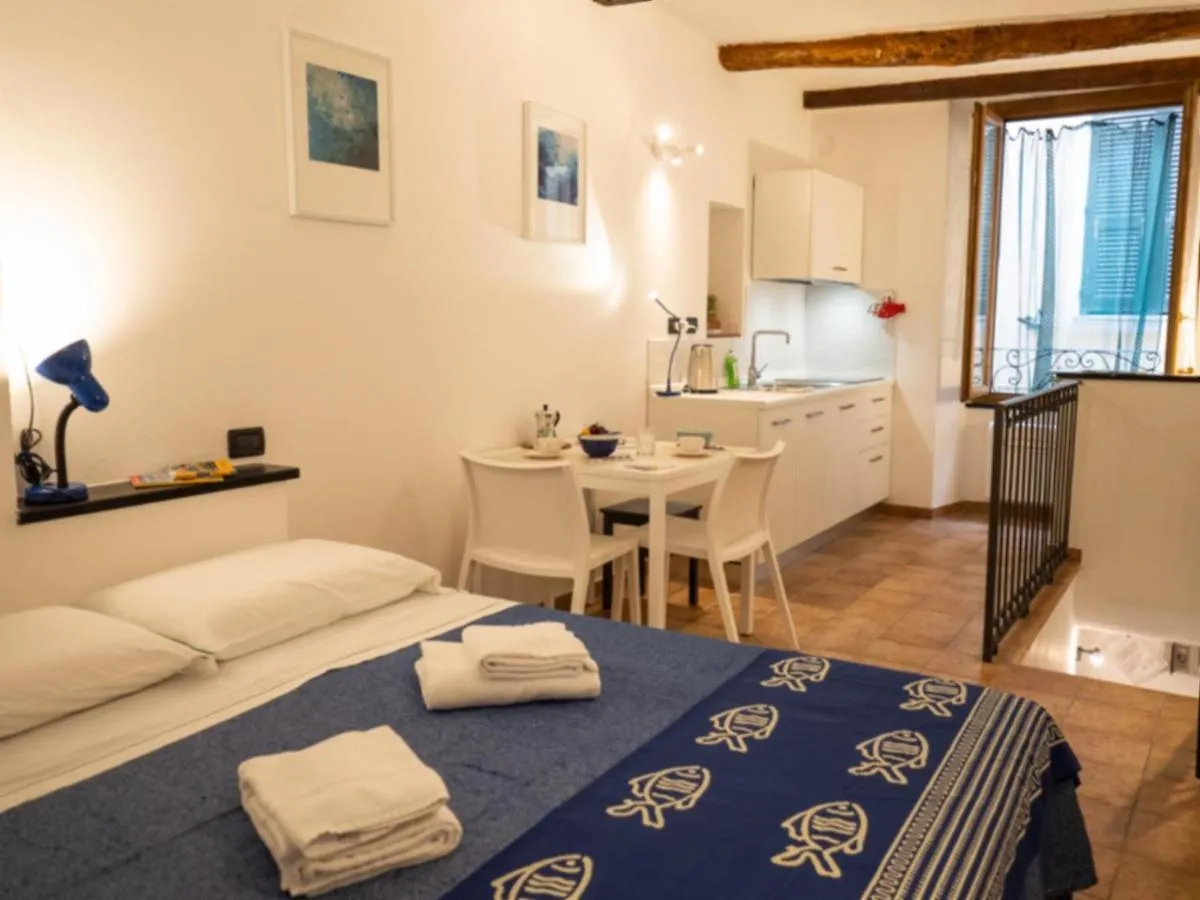 Zia Rina Studio Vernazza Apartment